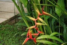 Naithonburi Beach Resort