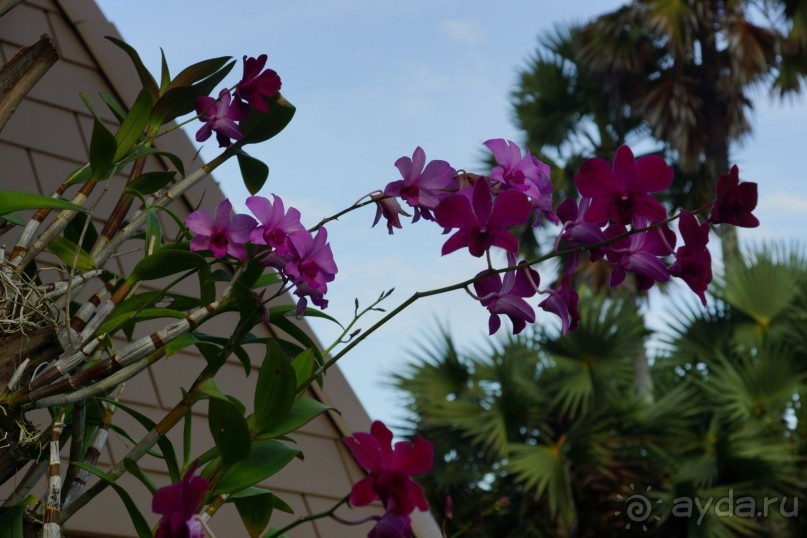 Naithonburi Beach Resort