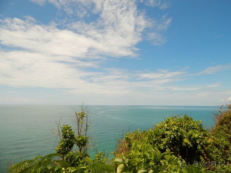 В Таиланд на месяц!