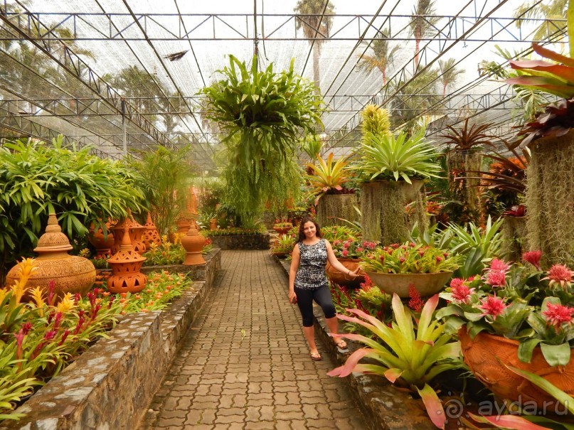 В Таиланд на месяц!