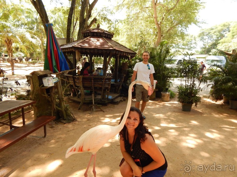 В Таиланд на месяц!