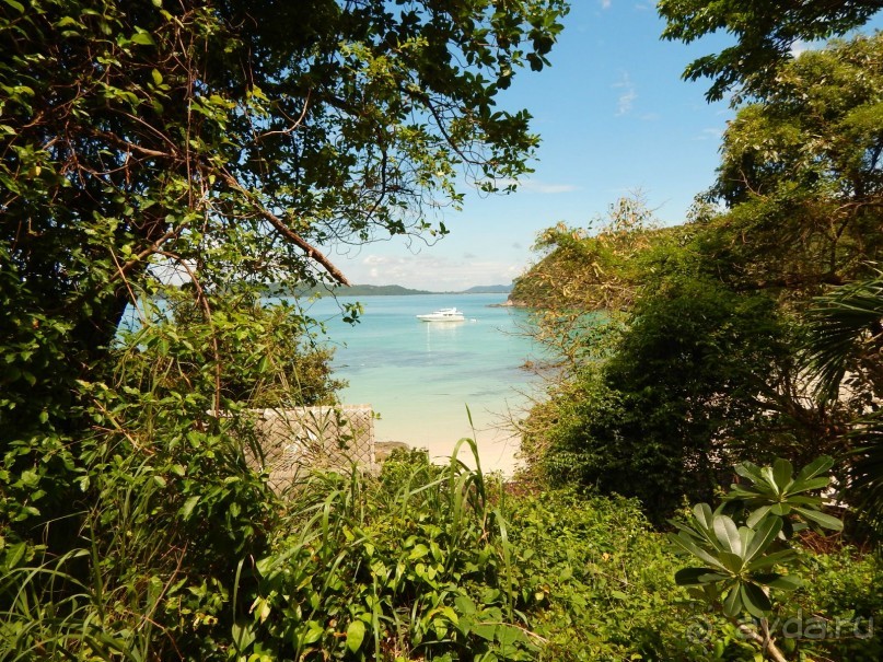 В Таиланд на месяц!