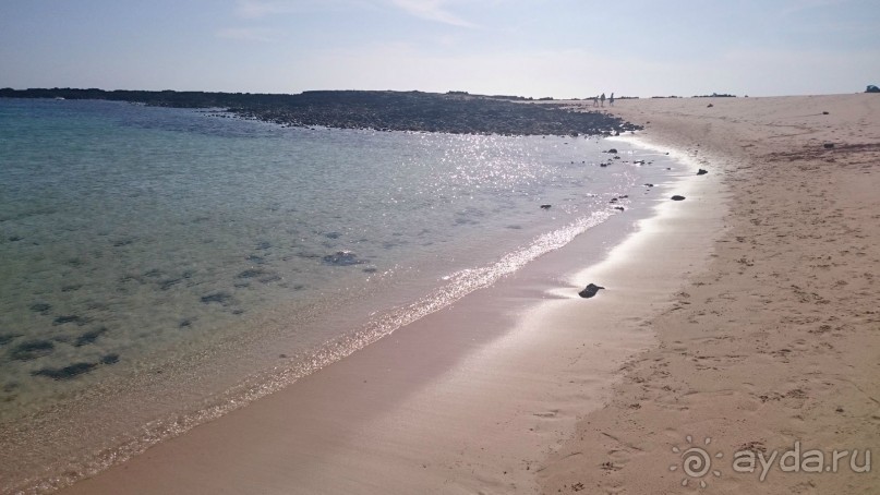 Необычные Канарские острова - Фуэртевентура