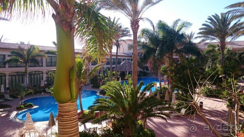 Необычные Канарские острова - Фуэртевентура