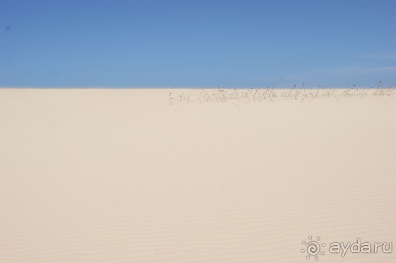 Необычные Канарские острова - Фуэртевентура