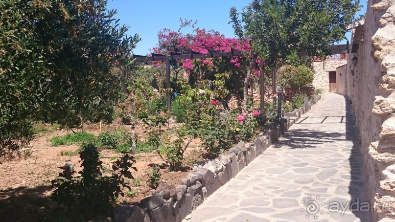 Необычные Канарские острова - Фуэртевентура