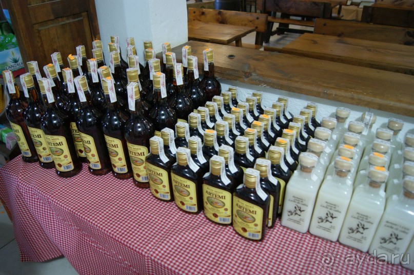 Необычные Канарские острова - Фуэртевентура