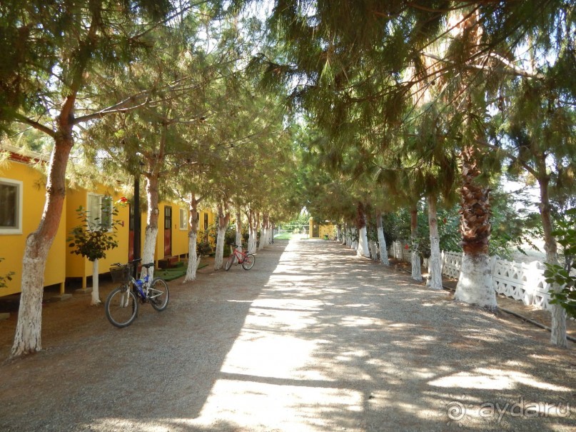 Отдых в забвении