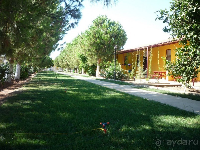 Отдых в забвении