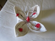 фото Falcon Hills Hotel