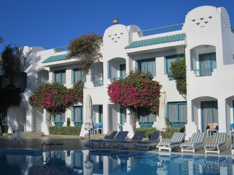 Великолепная кухня, дружелюбный персонал, чистота)))