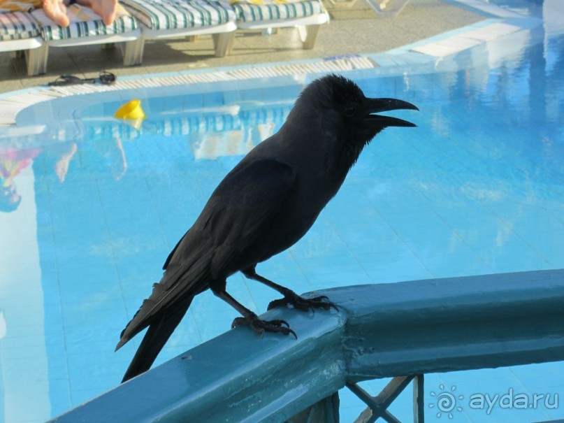 Великолепная кухня, дружелюбный персонал, чистота)))