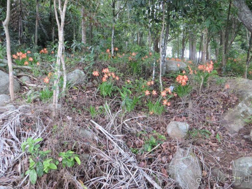Самостоятельная поездка во Вьетнам