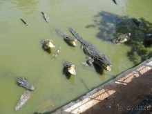 Самостоятельная поездка во Вьетнам