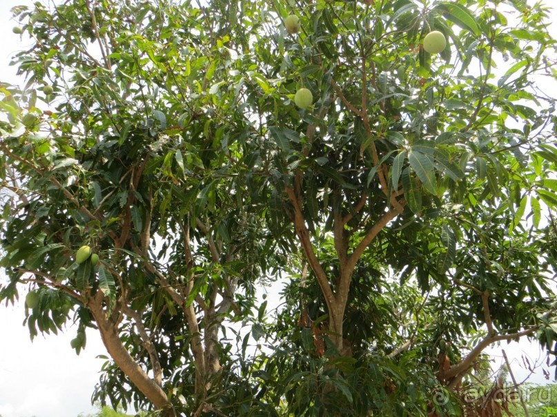 Самостоятельная поездка во Вьетнам