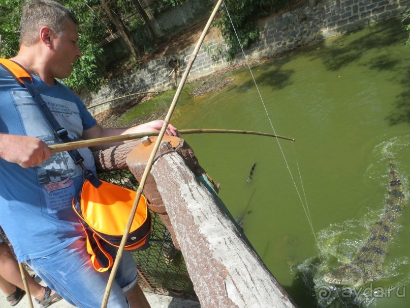 Самостоятельная поездка во Вьетнам