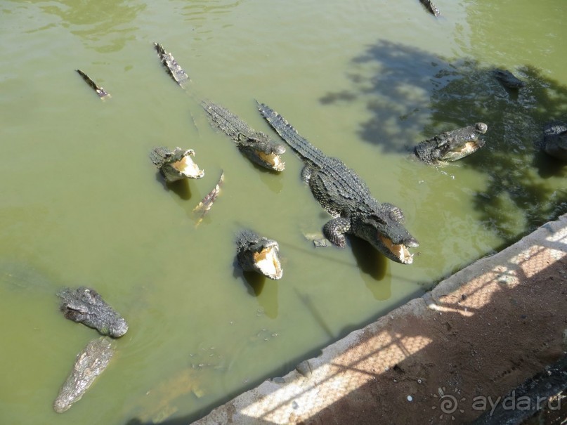 Самостоятельная поездка во Вьетнам