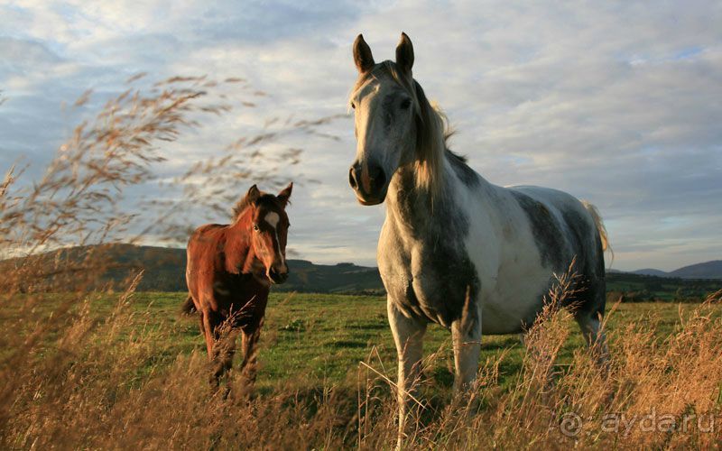 Спасибо «Фантазии» за прекрасный отдых!