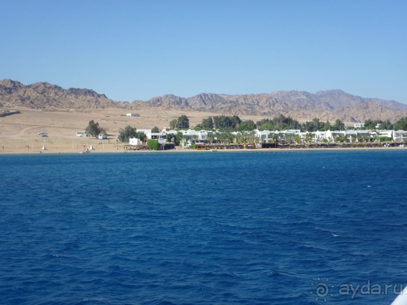 приезжайте с детьми!