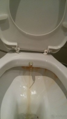 Очень плохой отель!!!фото