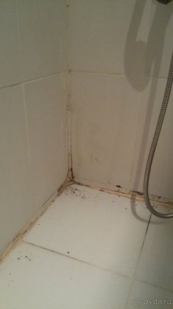 Очень плохой отель!!!фото