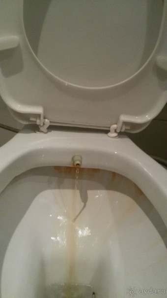 Очень плохой отель!!!фото