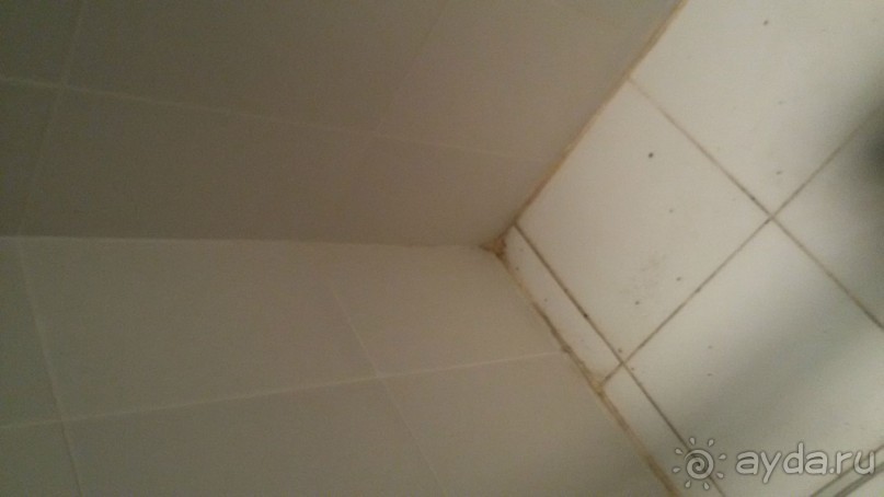 Очень плохой отель!!!фото