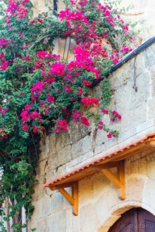 Фалираки, Родос, Сими