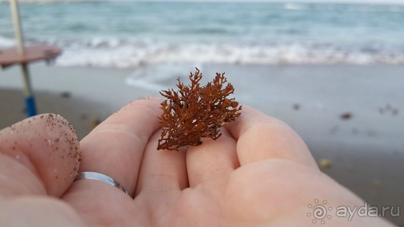 Фалираки, Родос, Сими