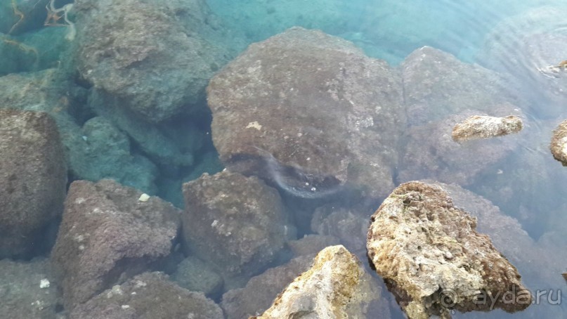 Фалираки, Родос, Сими