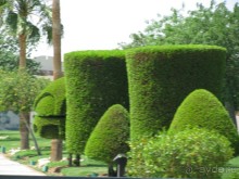 красивый зелёный отель!