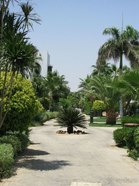 красивый зелёный отель!