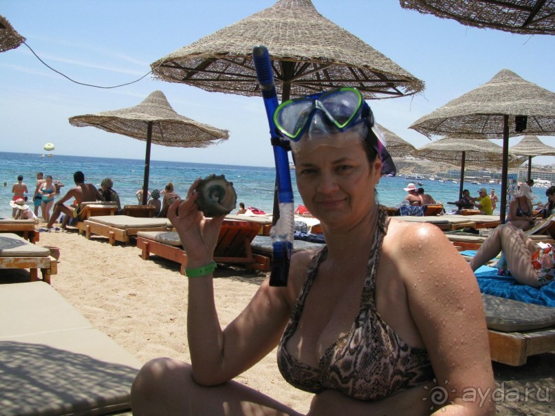 красивый зелёный отель!