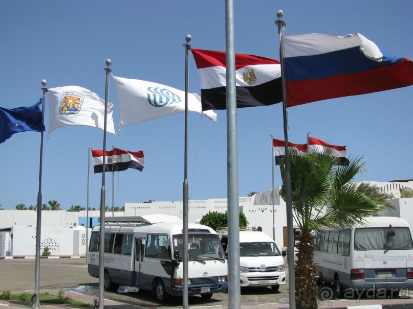 красивый зелёный отель!