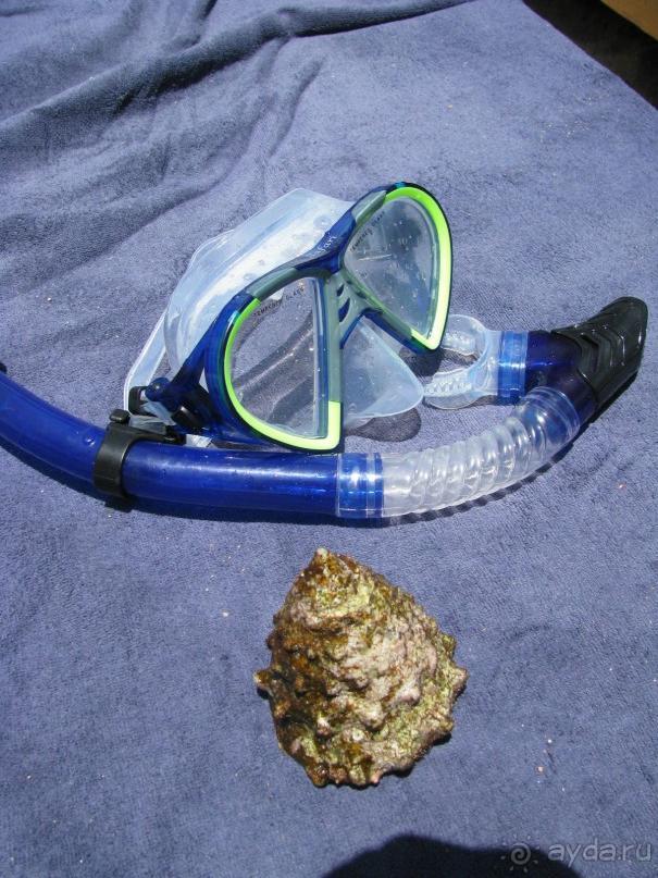 красивый зелёный отель!