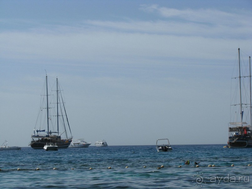 красивый зелёный отель!