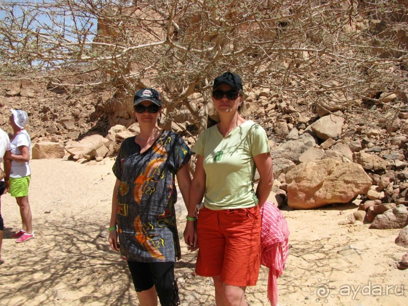 красивый зелёный отель!