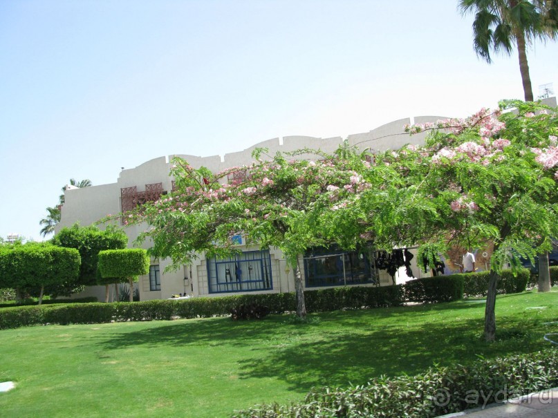 красивый зелёный отель!