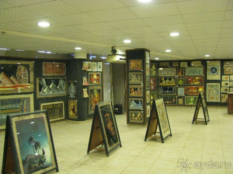 красивый зелёный отель!