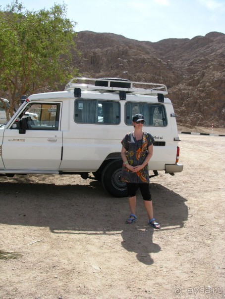 красивый зелёный отель!