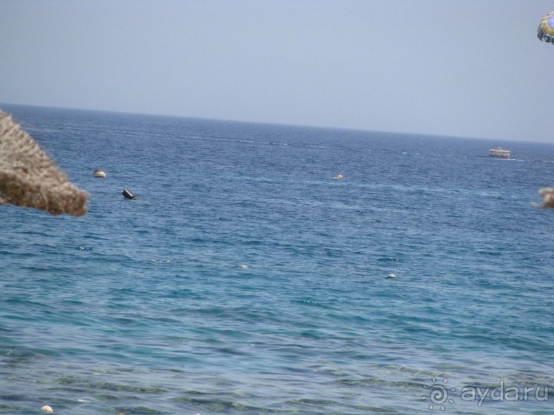 красивый зелёный отель!