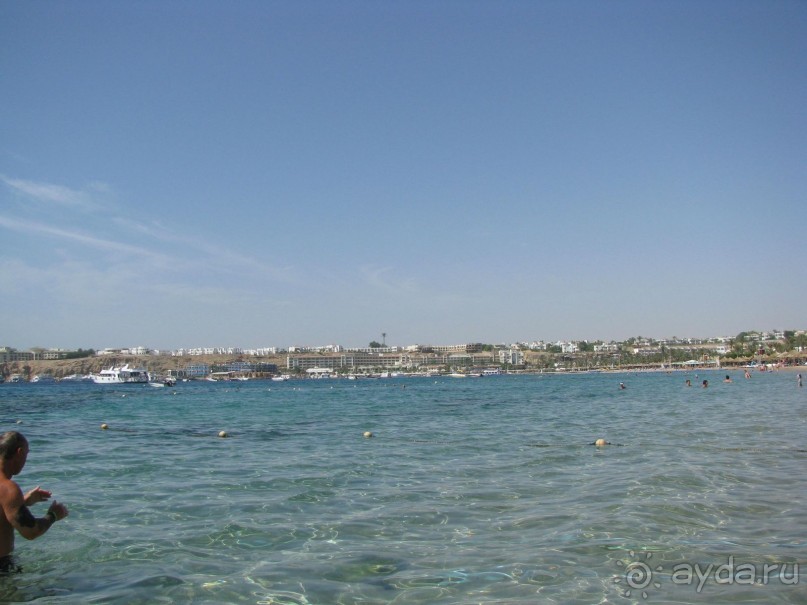 красивый зелёный отель!