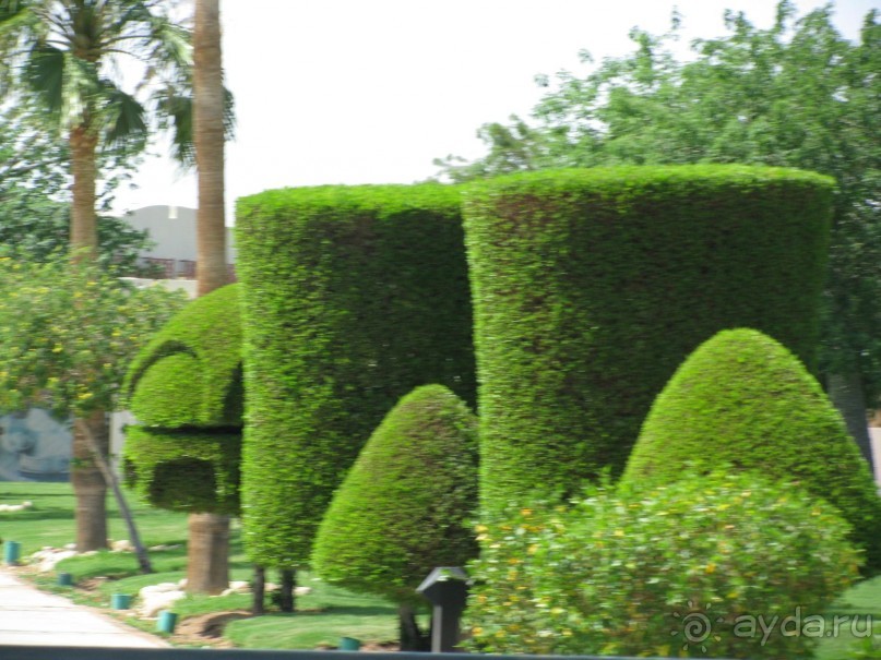 красивый зелёный отель!