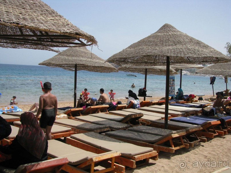 красивый зелёный отель!