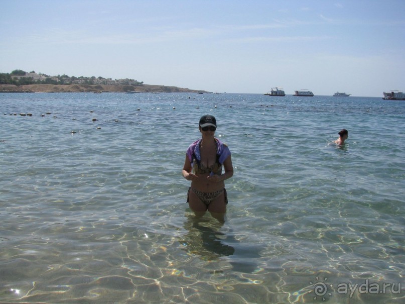 красивый зелёный отель!