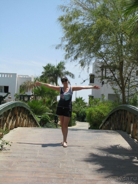 красивый зелёный отель!