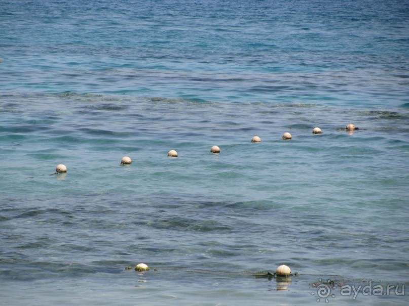 красивый зелёный отель!