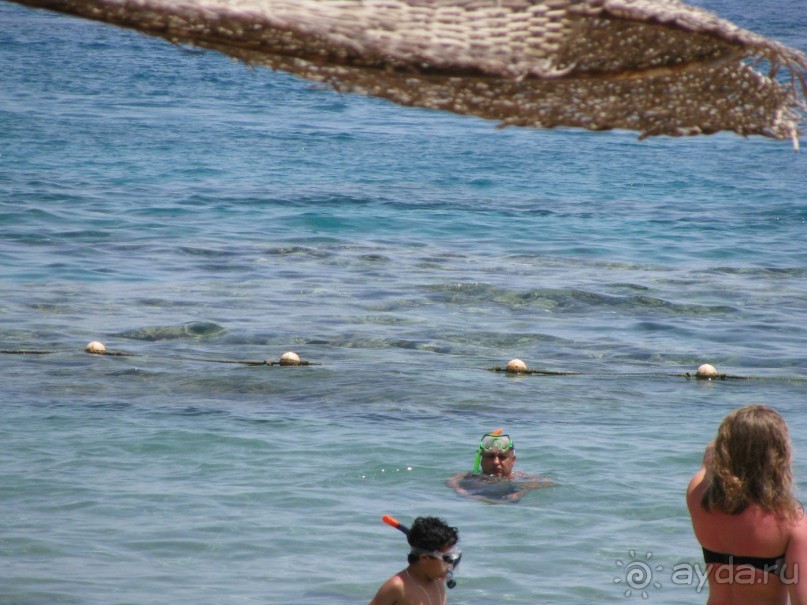 красивый зелёный отель!