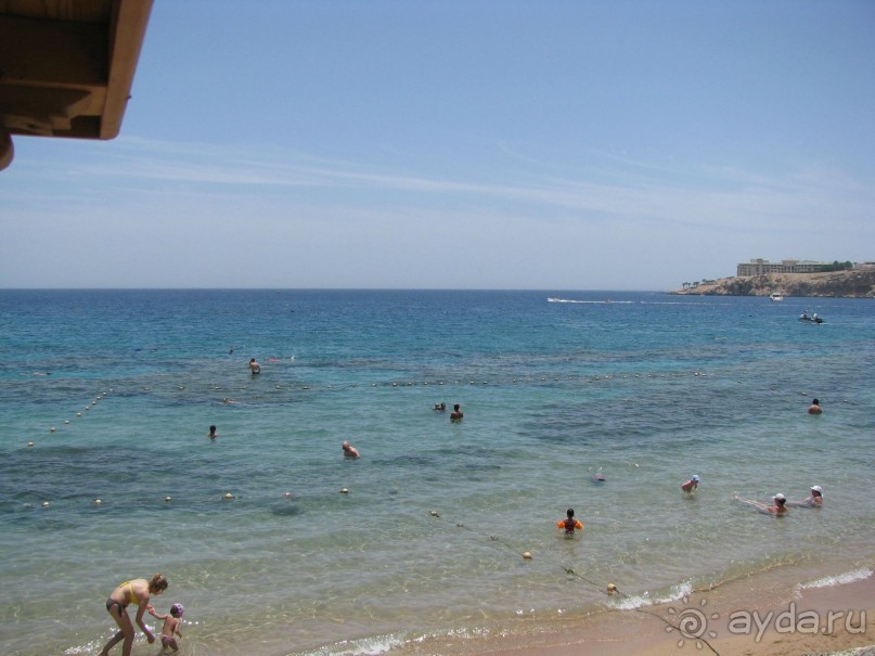 красивый зелёный отель!