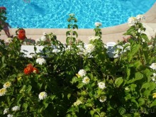 Уровень отеля выше заявленного